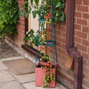 Garden Grow Self Watering 4 Tier Tomato Tower