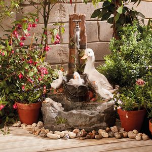 Duck Fountain