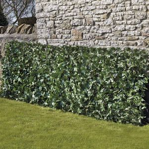 Waltons Artificial Ivy Fence