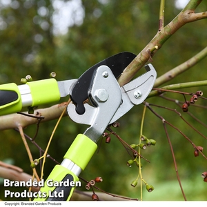 Garden Gear Telescopic Long Reach Anvil Lopper
