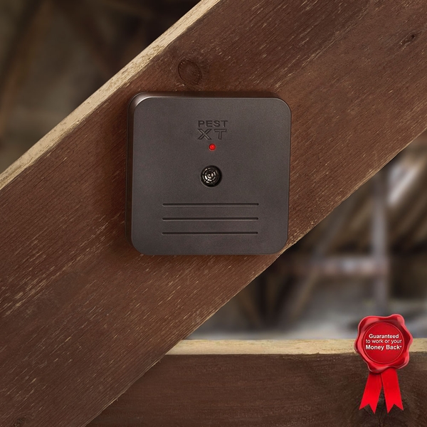 Pest XT Battery Operated Indoor Repeller